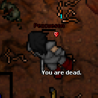 Pezcueson's outfit