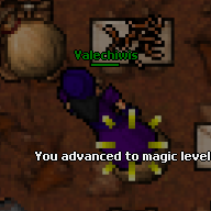 Valechiwis's outfit