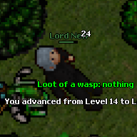 Lord New's outfit