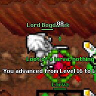 Lord Bogdanek's outfit