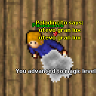 Paladincito's outfit