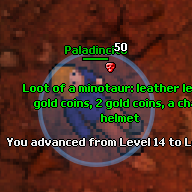Outfit de Paladincito